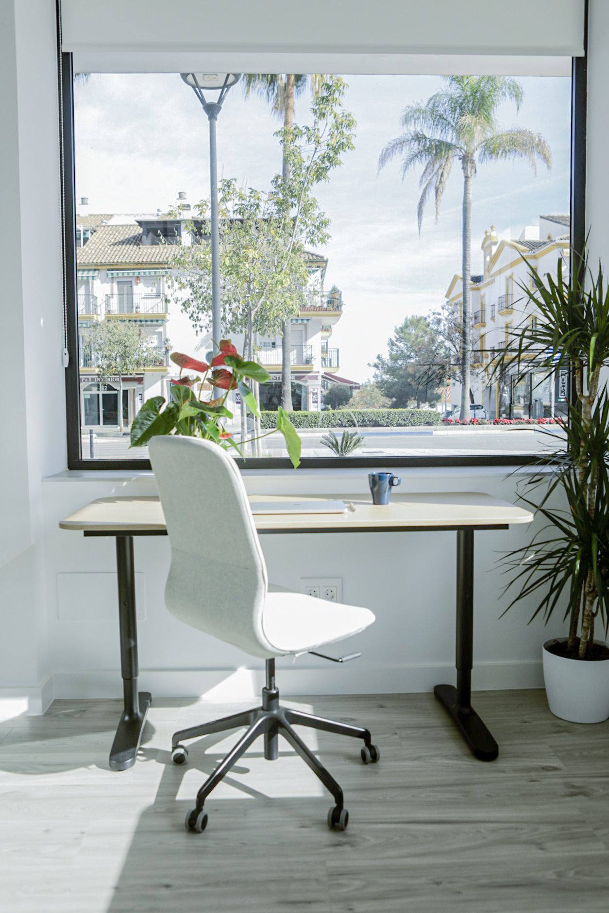 Hot Desk en Concept Coworking